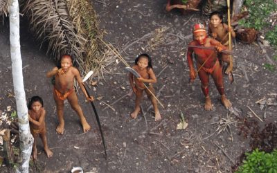 SURVIVAL: Aproveitando a pandemia, garimpeiros e madeireiros invadem terras de povos indígenas isolados