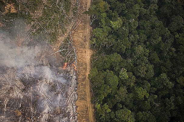 BRASIL DE FATO: Artigo | Crescimento das terras cadastradas no Incra e a MP 910: prenúncio de crime