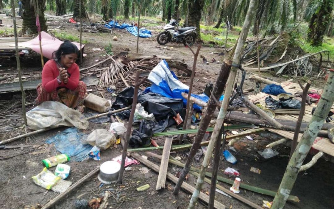 SURVIVAL: Indígenas Orang Rimba são atacados enquanto tentam encontrar comida durante a pandemia