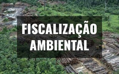 MPF: Justiça determina continuidade da fiscalização do Ibama na Terra Indígena Cachoeira Seca, no Pará