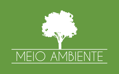 PGR: Câmara de Meio Ambiente do MPF defende apuração de possível crime de responsabilidade e improbidade administrativa de Ricardo Salles