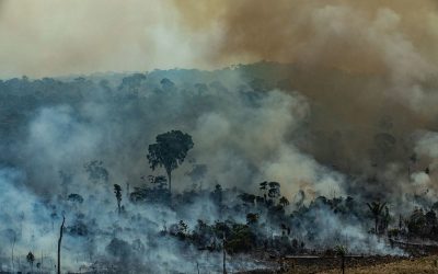 SENADO: Queimadas na Amazônia serão proibidas durante pandemia, prevê projeto