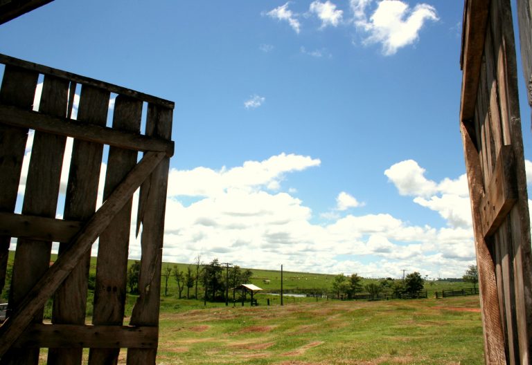 CÂMARA: Deputados divergem sobre medida provisória que muda regras para a regularização fundiária
