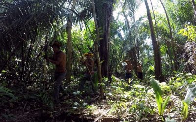 AMAZÔNIA NOTÍCIA E INFORMAÇÃO: Sobe para 9 número de casos confirmados do novo coronavírus entre indígenas em RO