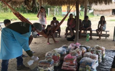 FUNAI: CR Kayapó distribui 1.713 cestas; Funai investiu R$ 117 mil