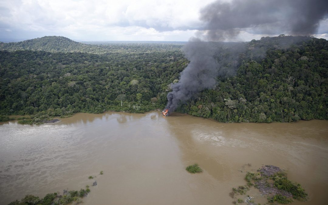 AMAZÔNIA NOTÍCIA E INFORMAÇÃO: Desmatamento em alta, grileiros à solta, crises políticas: queimadas na Amazônia podem ser piores que as de 2019