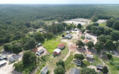 DE OLHO NOS RURALISTA: Latifúndios invadem mais de 480 mil hectares de terras indígenas no Mato Grosso