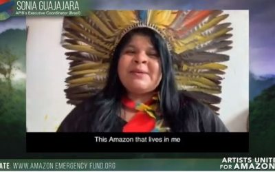 CONGRESSO EM FOCO: “Artistas pela Amazônia” reúne prefeito, Wagner Moura e celebridades mundiais