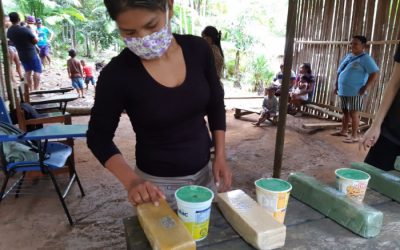 DE OLHO NOS RURALISTAS: Em uma semana, número de etnias atingidas pela pandemia salta de 18 para 29
