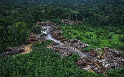 BRASIL DE FATO: Com desmatamento em alta, Bolsonaro prorroga controle de militares sobre a Amazônia