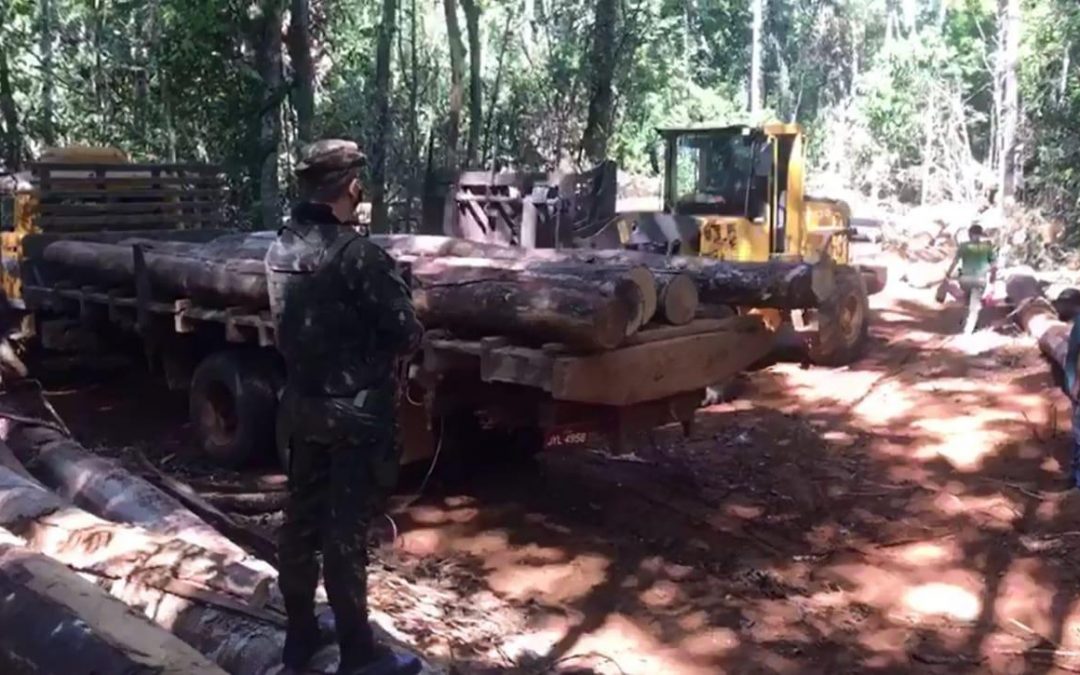 DEFESA: Desmonte de garimpo ilegal em Mato Grosso continua neste sábado