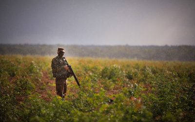 DEFESA: Defesa dá sequência a ações de preservação e proteção da Amazônia Legal