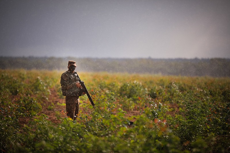 DEFESA: Defesa dá sequência a ações de preservação e proteção da Amazônia Legal