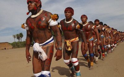 MMFDH: Aberta seleção de organizações para compor o Conselho Nacional de Promoção da Igualdade Racial (CNPIR)