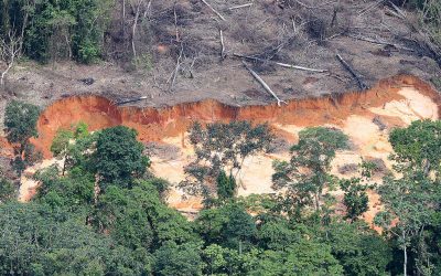 GREENPEACE: Em meio à Covid, 72% do garimpo na Amazônia foi em áreas “protegidas”