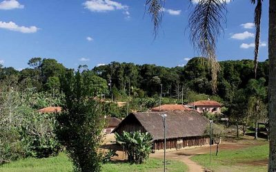 BRASIL DE FATO: SP possui mais de 300 casos de indígenas contaminados pela covid-19, alerta Comissão