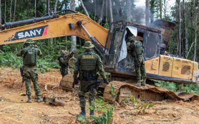 ISA: Polícia Militar de Rondônia nega apoio a ICMBio e Ibama em operações de fiscalização e apreensão