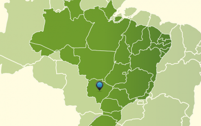 MMFDH: Ação de doação de alimentos a indígenas chega ao MS