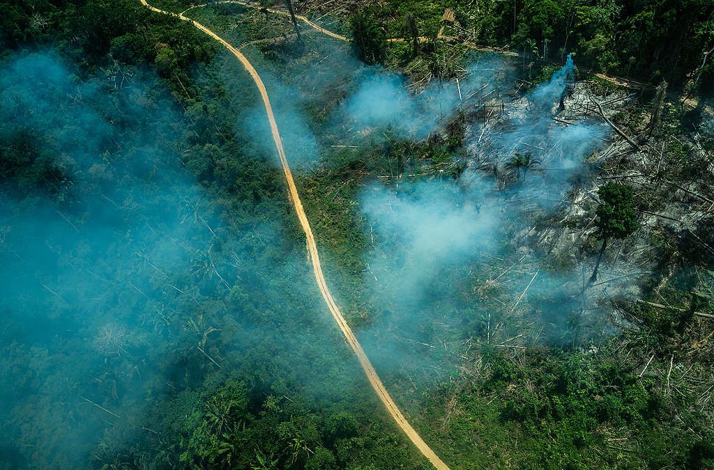 GREENPEACE: ONGs alertam MPF, MPPA e governador do Pará sobre escalada do desmatamento no estado