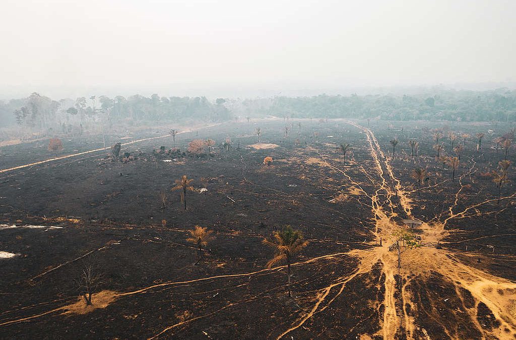 GREENPEACE: Satélites e o INPE não mentem; o governo, sim