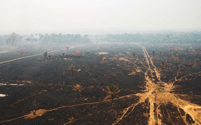 GREENPEACE: Satélites e o INPE não mentem; o governo, sim