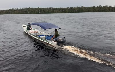 FUNAI: Funai trabalha para garantir segurança alimentar de indígenas de São Gabriel da Cachoeira (AM)