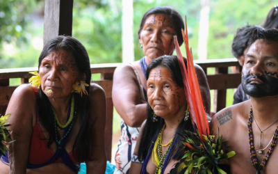 FUNAI: Covid-19 : Governo federal atua em comunidades indígenas de São Gabriel da Cachoeira (AM)