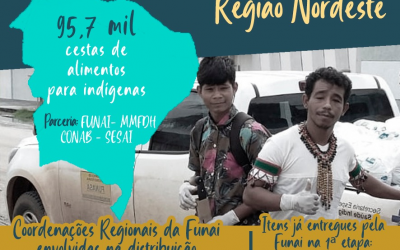 FUNAI: Funai no combate ao coronavírus: indígenas da Região Nordeste vão receber mais de 95 mil cestas de alimentos
