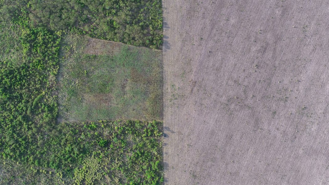 CIMI: MPF identifica quase 10 mil registros de proprietários privados no Cadastro Ambiental Rural em áreas destinadas a povos indígenas