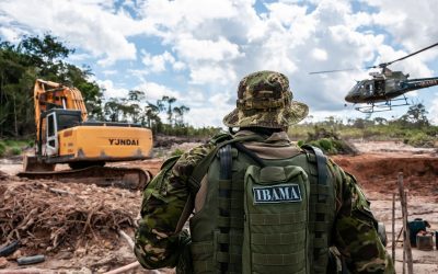 AMAZÔNIA NOTÍCIA E INFORMAÇÃO: As táticas do governo brasileiro para sucatear órgãos de proteção ambiental