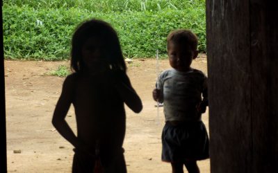 AMAZÔNIA NOTÍCIA E INFORMAÇÃO: Mães Yanomami imploram pelos corpos de seus bebês
