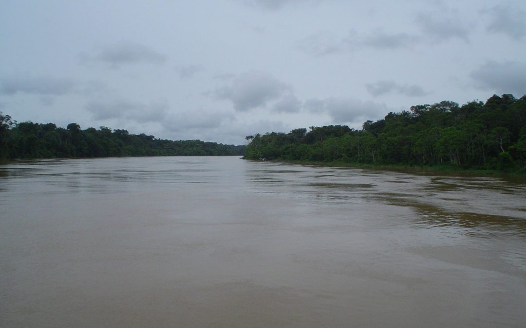 AMAZÔNIA REAL: Três indígenas Kanamari testam positivo para Covid-19 dentro do Vale do Javari, no Amazonas