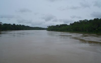 AMAZÔNIA REAL: Três indígenas Kanamari testam positivo para Covid-19 dentro do Vale do Javari, no Amazonas