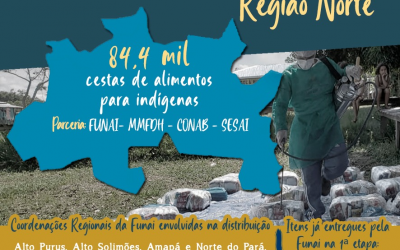 FUNAI: Funai no combate ao coronavírus: indígenas da Região Norte vão receber mais de 84 mil cestas básicas