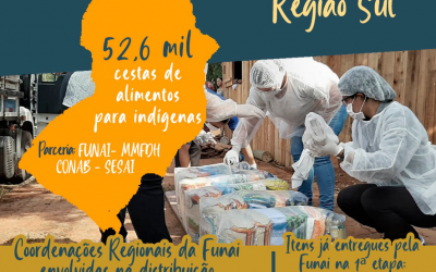 FUNAI: Funai no combate ao coronavírus: indígenas da Região Sul vão receber mais de 52 mil cestas básicas
