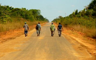 AMAZÔNIA REAL: BR-319 ameaça povos indígenas 4:– A inviabilidade econômica da estrada