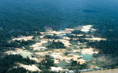 SURVIVAL: #ForaGarimpoForaCovid: lideranças do povo Yanomami lançam campanha global