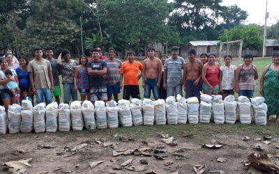 FUNAI: Covid-19: Funai atinge a marca de 215 mil cestas de alimentos distribuídas a famílias indígenas