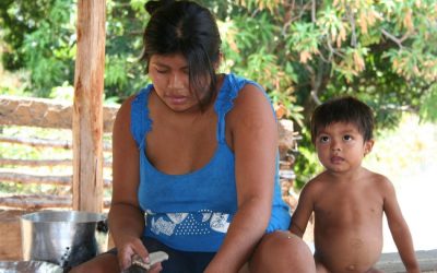 CIMI: Cimi manifesta preocupação e repúdio ao PLC 17/2020, em tramitação no estado de Mato Grosso