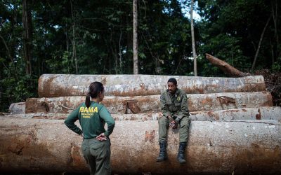 GREENPEACE: Ao destruir o meio ambiente, governo Bolsonaro boicota a economia brasileira