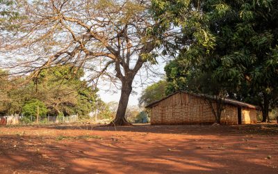 AGÊNCIA PÚBLICA: Contaminação de indígenas em Dourados partiu de frigorífico da JBS