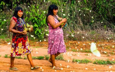 ONU BRASIL: OPAS divulga orientações para reduzir a transmissão da COVID-19 entre populações indígenas e afrodescendentes