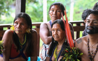 MMFDH: Povos e comunidades tradicionais já receberam mais de 170 mil cestas de alimentos em todo o país