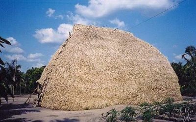 MPF: Covid-19: TRF1 determina que a União comprove, em 24h, a entrega de cestas básicas a indígenas do AM