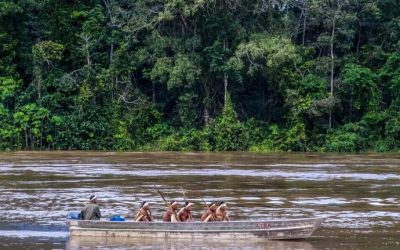 DE OLHO NOS RURALISTAS: Famílias indígenas na TI Vale do Javari saem remando para o meio do mato, em fuga da pandemia