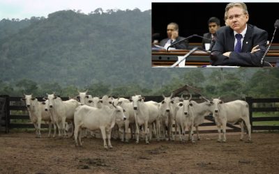 DE OLHO NOS RURALISTAS: Relator de projeto que ataca direitos trabalhistas coleciona terras na Amazônia