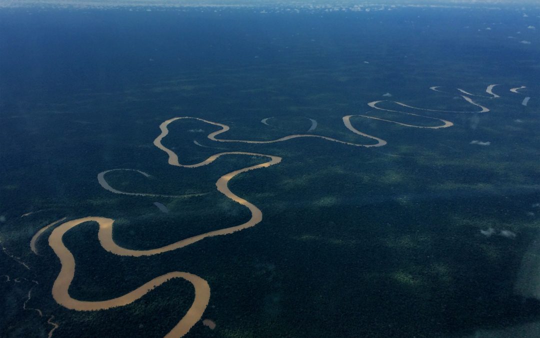 AMAZÔNIA REAL: Profissionais de saúde do Vale do Javari com Covid-19 são removidos às pressas de terra indígena