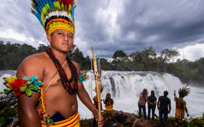 FUNAI: Covid-19: por videoconferência, Funai participa de encontro com órgãos públicos ligados à área ambiental