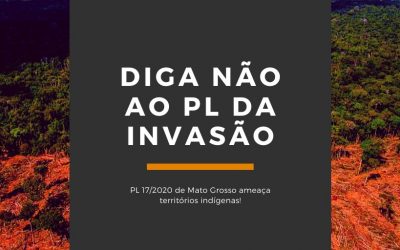 AMAZÔNIA NOTÍCIA E INFORMAÇÃO: Organizações se unem pelo arquivamento de projeto que ameaça terras indígenas no MT