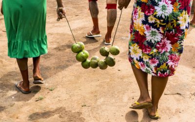 ISA: A pandemia nossa de cada dia: sabemos para onde vamos?